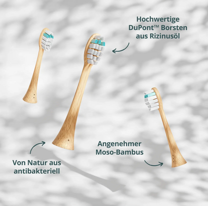 Elvoro KOA V2™  Nachhaltige Schallzahnbürste