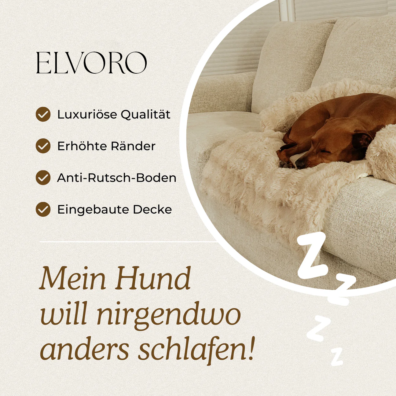 Luxuriöses Elvoro™ Sofabett
