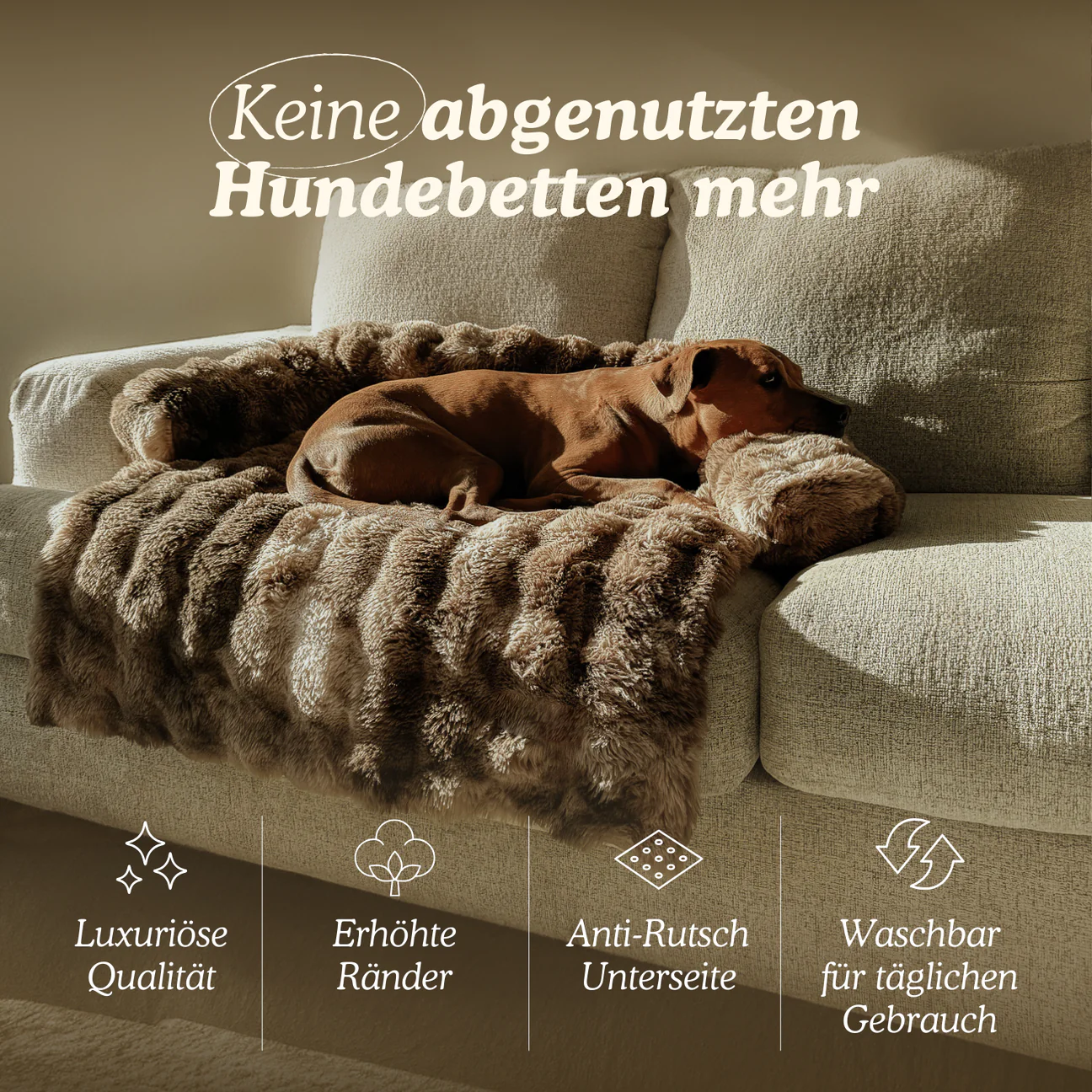 Luxuriöses Elvoro™ Sofabett