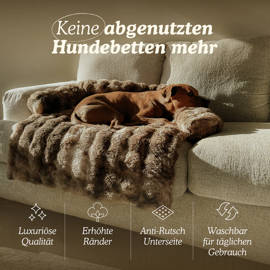Luxuriöses Elvoro™ Sofabett