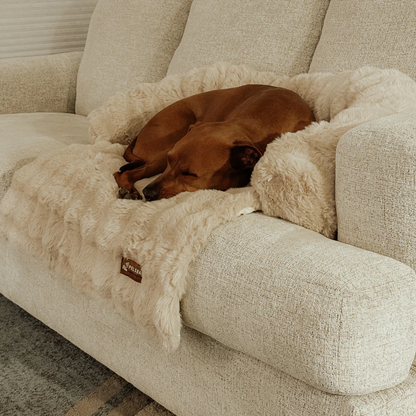 Luxuriöses Elvoro™ Sofabett